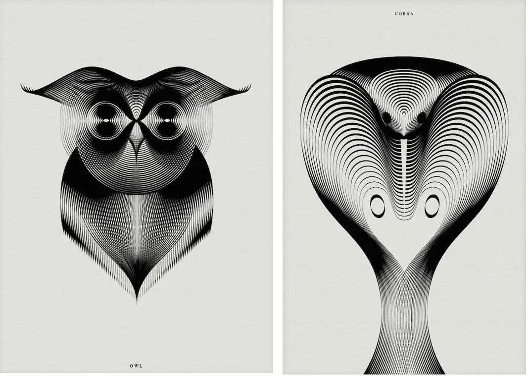 最美魔性条纹图片,最美的魔性条纹