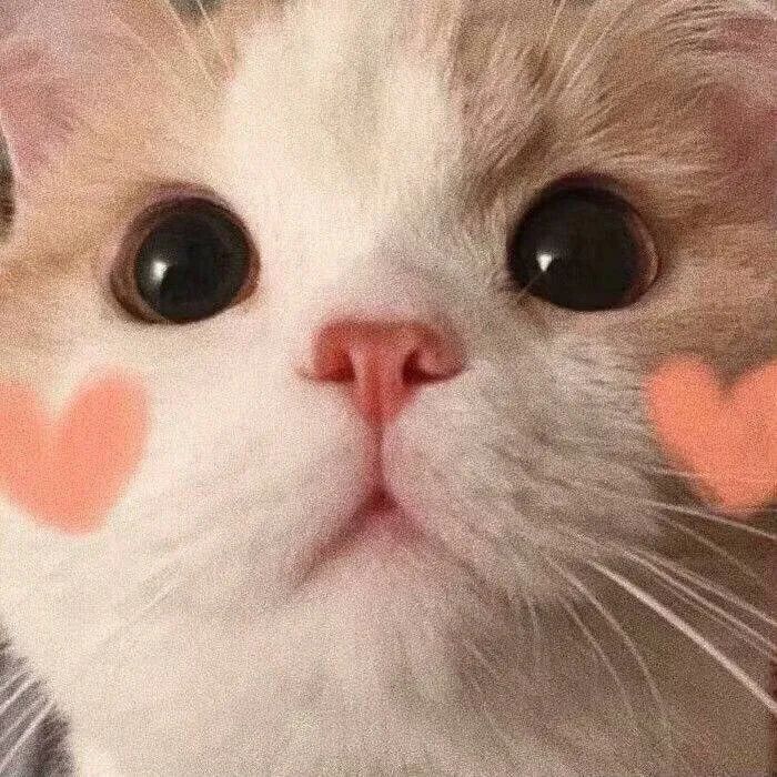 618图书省钱攻略,618省钱攻略来了看就是赚到