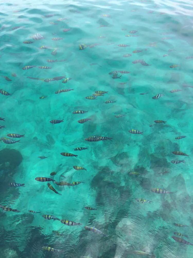 普吉岛闹鬼事件曝光,普吉岛真实经历灵异事件