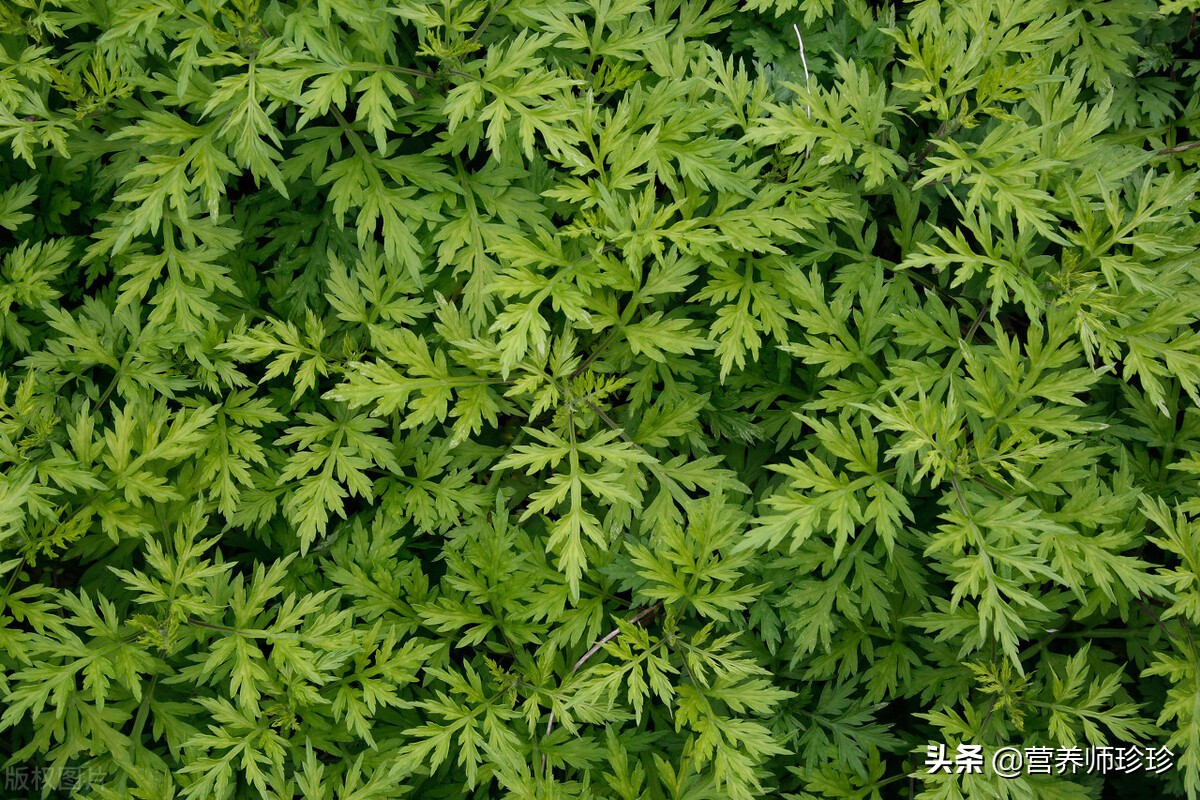 姨妈期间腰疼小妙招,治疗姨妈期腰痛的神器