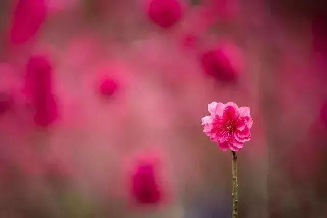 春节游玩攻略正式上线,春节嗨玩攻略