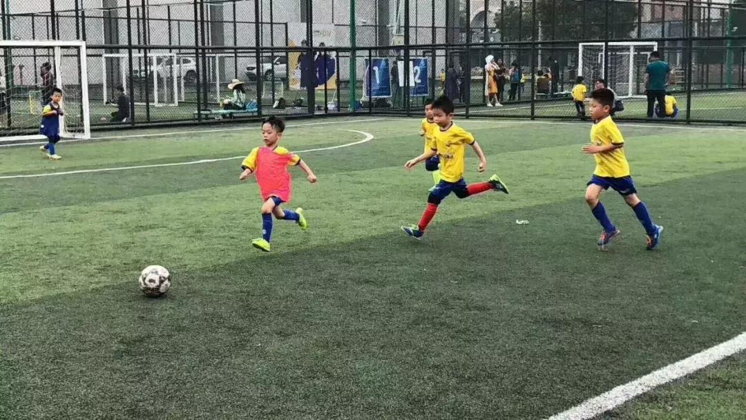 少儿体育培训机构哪家好,广东少儿体育培训机构