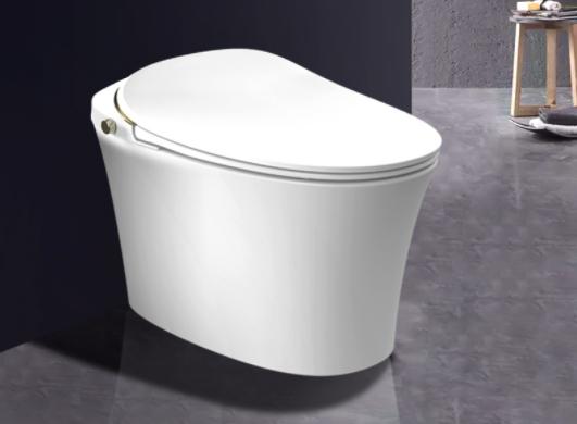 2023智能马桶买什么牌子的,什么系列智能马桶可以闭眼买