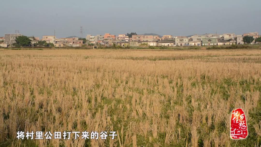 奖学“谷”，你听说过吗？