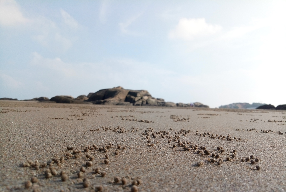 魅族魅蓝e测试视频,魅族魅蓝e系列手机怎么样