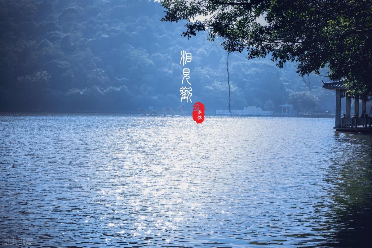 令人捧腹的搞笑类小说推荐,设定清奇有创意的小说