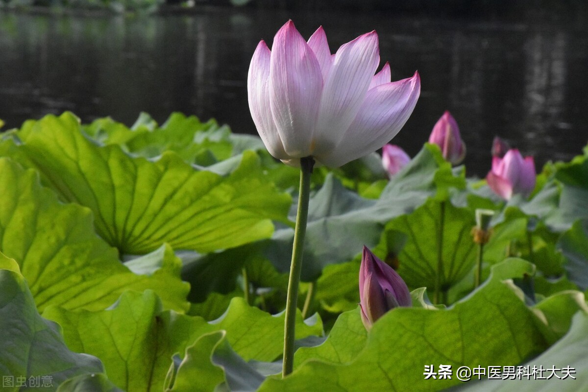 下焦湿热会导致腿酸软怎么调理,腰膝酸软小便黄是肾阴虚还是阳虚