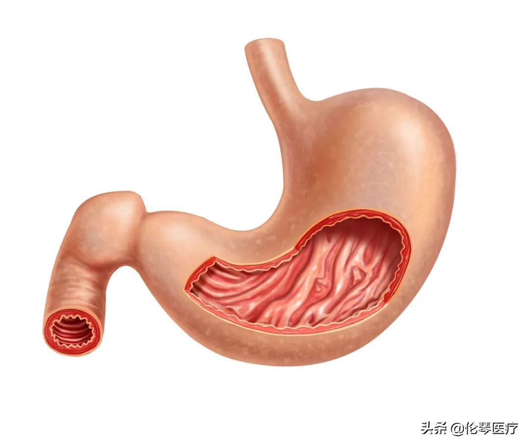2022年恶性肿瘤筛查与预防指南,常见恶性肿瘤的预防和筛检