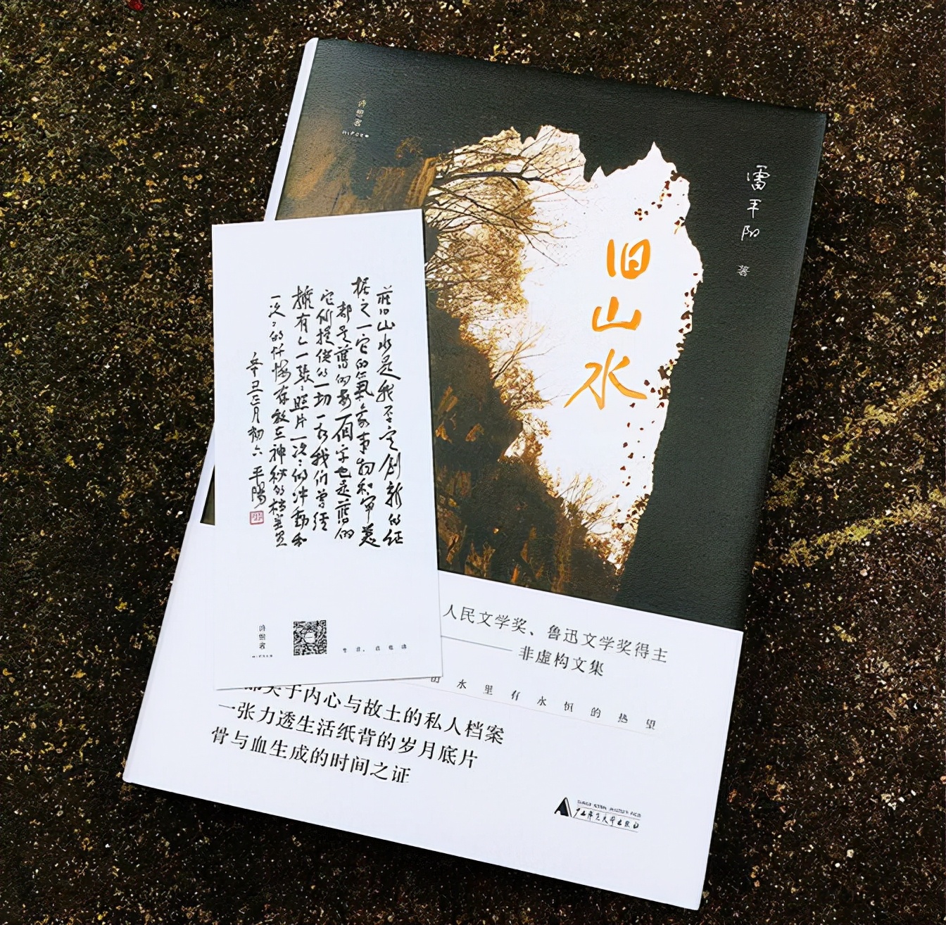 逆向思维诗十首,三位诗人