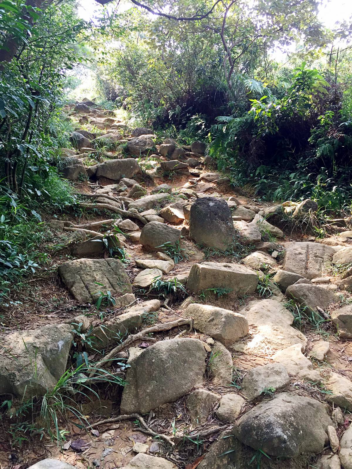 香港马鞍山郊野公园路线攻略,香港马鞍山附近的好去处