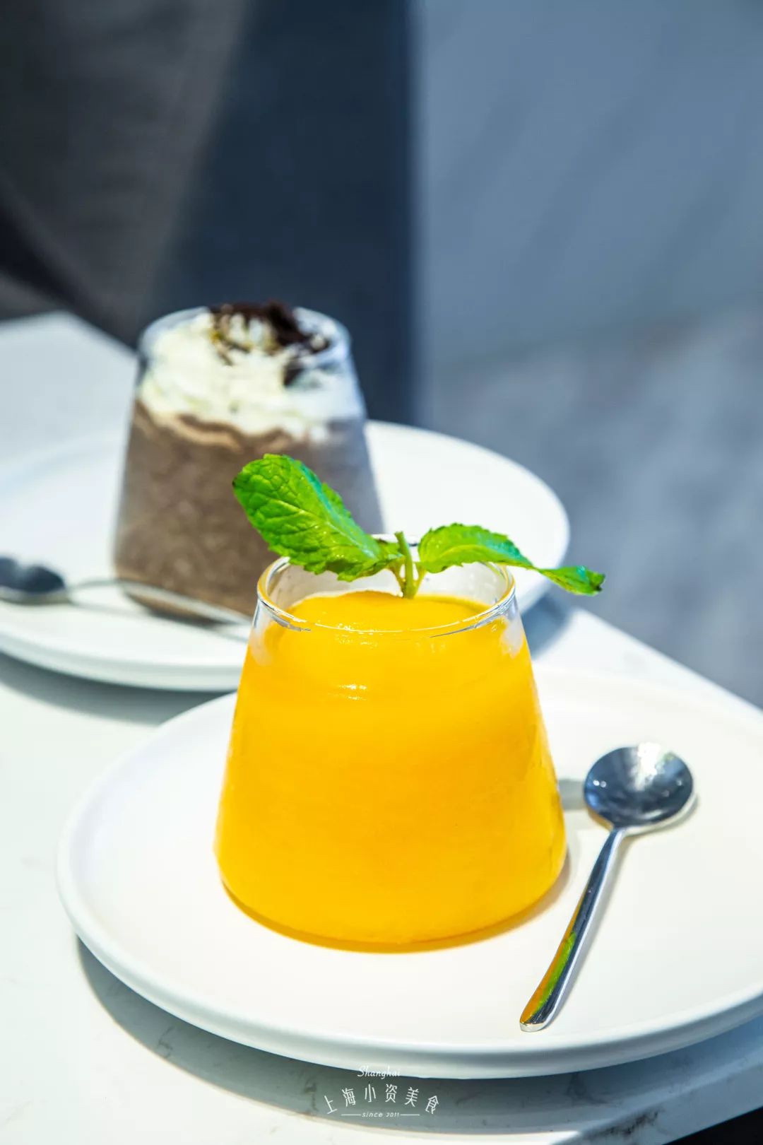 2019宠物排名,2022宠物排行榜