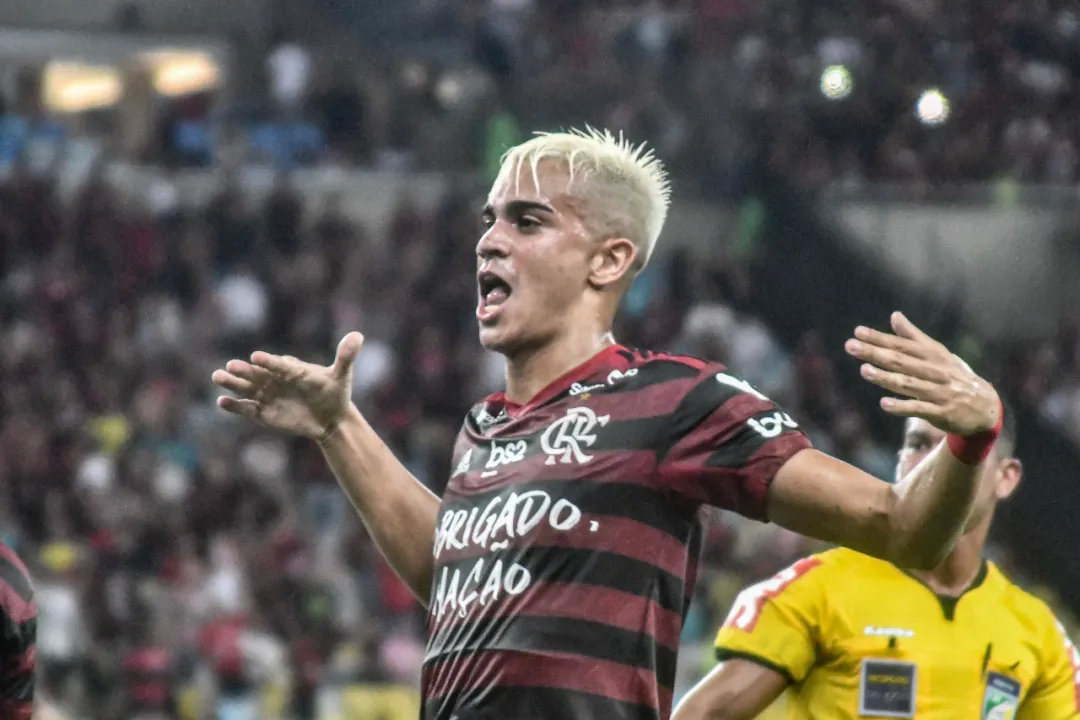 来了！“新卡卡”空降“黄黑幼儿园”