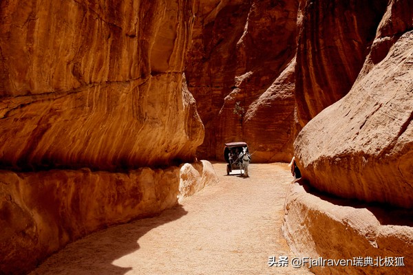 西夏蒙古大战,蒙古第三次入侵西夏