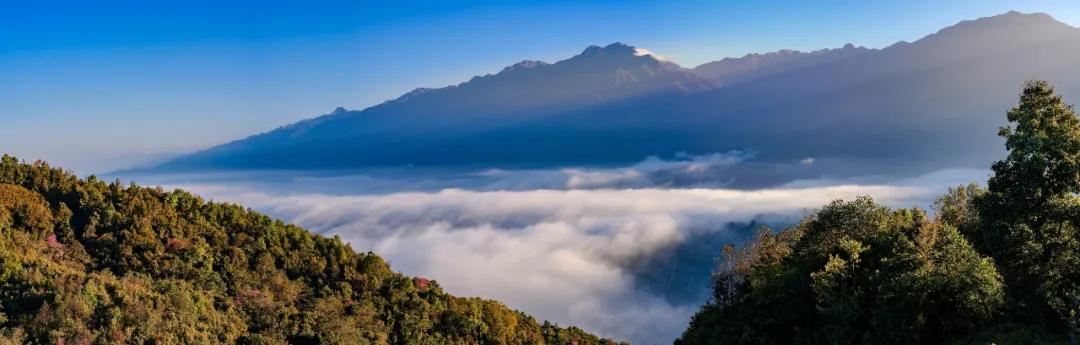 樱花烂漫温泉,腾冲樱花谷风景区