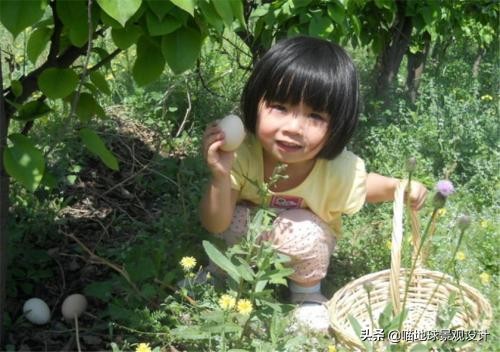 美丽乡村的盈利项目,美丽乡村项目的成功案例