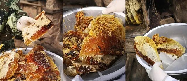 学会这3个小方法轻松买到真蜂蜜,一分钟带你如何辨别蜂蜜