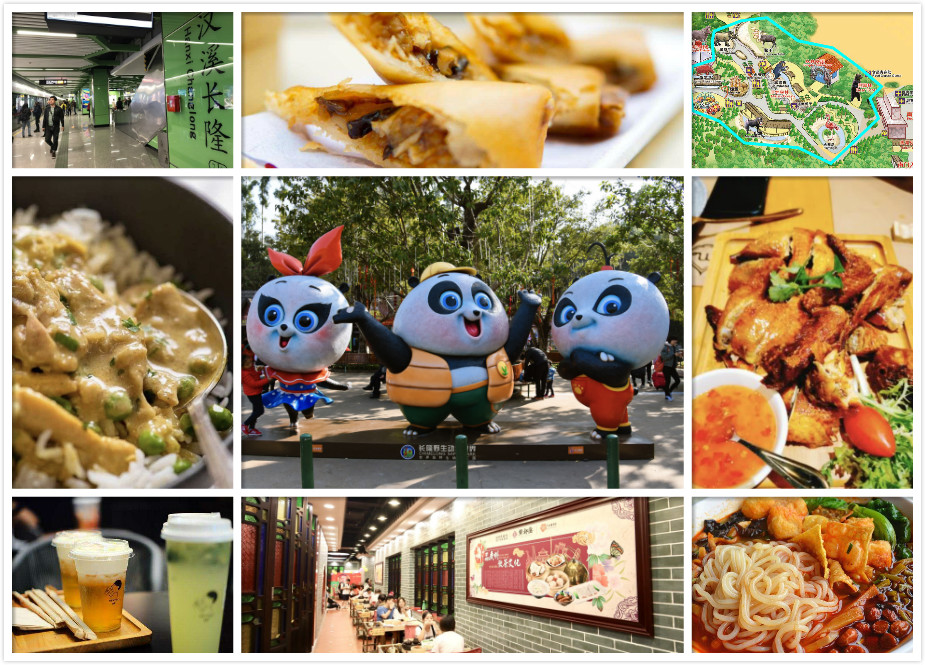 广州长隆两天一夜保姆级攻略,长隆一日游保姆级攻略