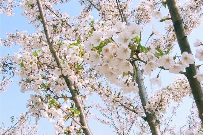 大连回到20年前,大连回到了故乡烟台