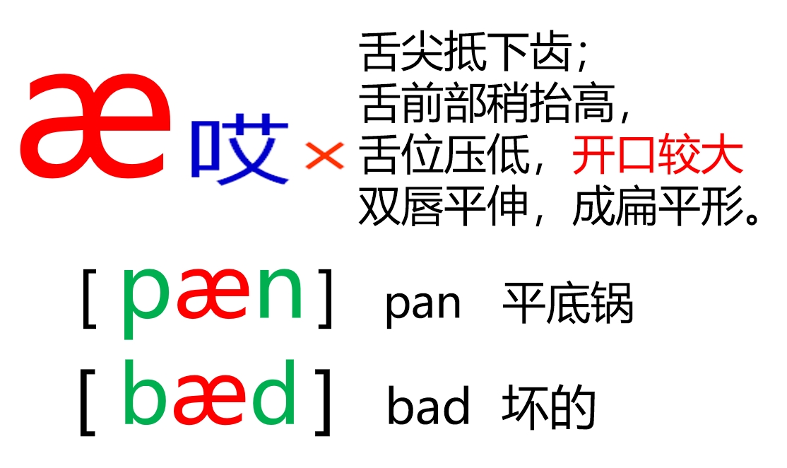 48个音标全套卡片作用,英语音标卡片48个正确发音嘴型