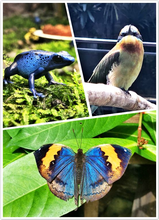 太有幸福感了！周杰伦同款奶茶喝到撑！攻略在此，拿走不谢