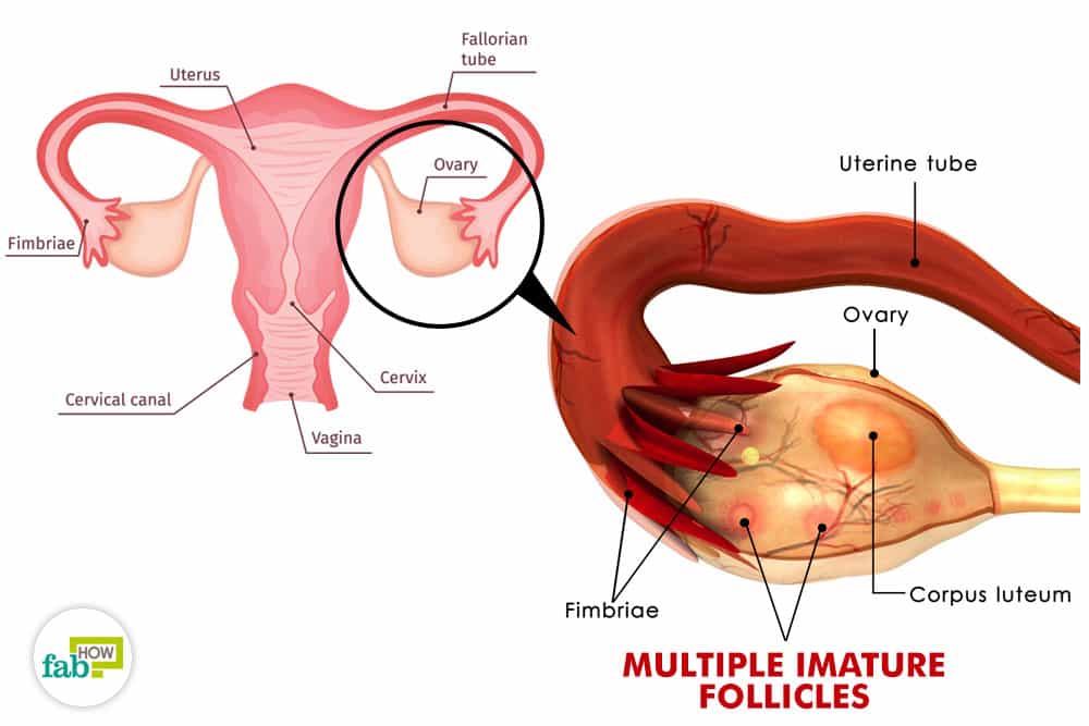 随着年龄增长用什么对抗衰老,怎么控制生长期的雌激素