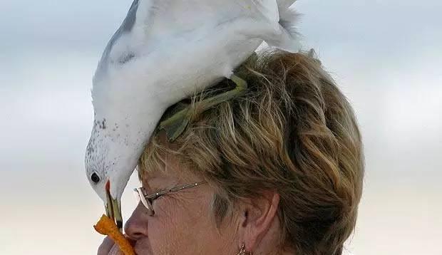 嘘！我要去澳洲了，不如一起吧