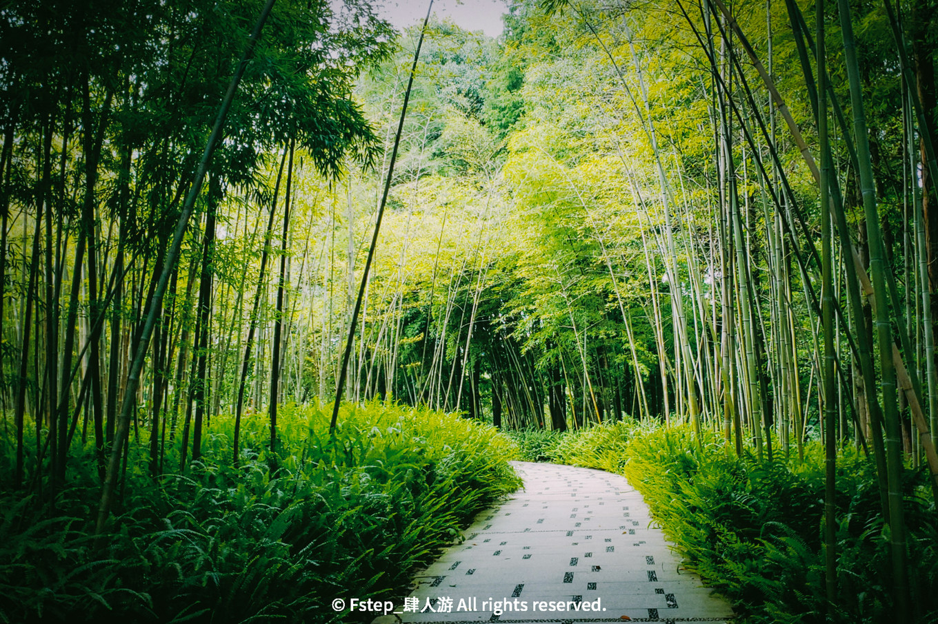 宅家云旅游遇见最美的自己 (宅家云旅游唯有爱与美食不可辜负)
