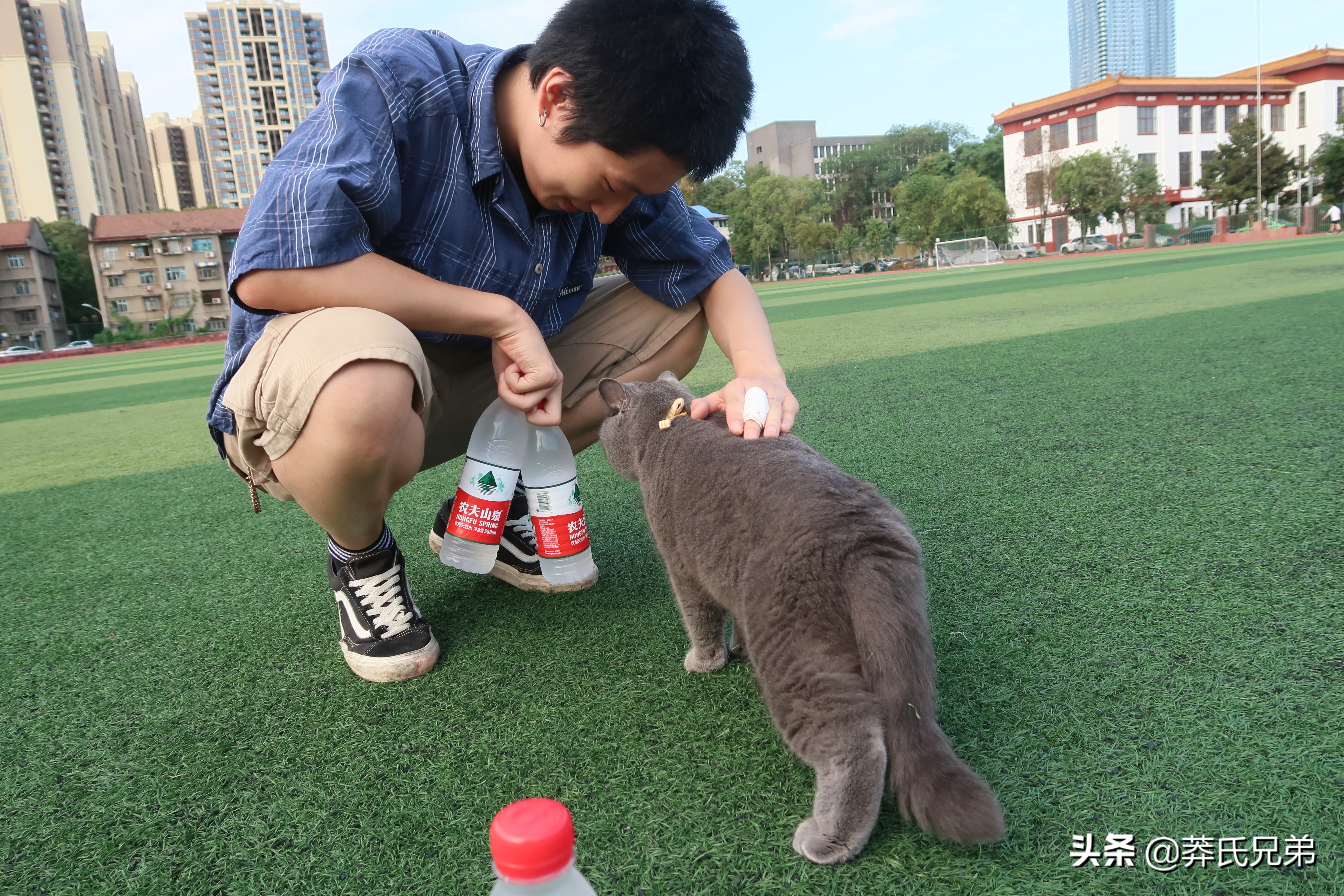 带猫去打篮球,带小猫咪去球场