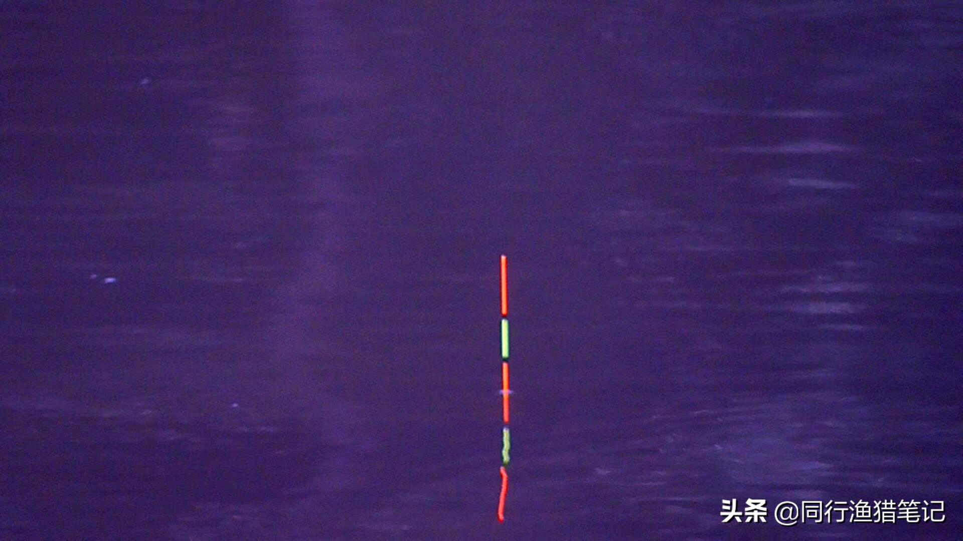 空钩半水调漂的正确视频,空钩半水调漂的正确方法