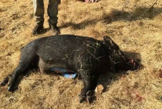 痘痘生长的四个阶段及去除方法,痘痘的防治方法有哪些