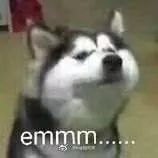 众星评价刘德华,众星力挺星爷