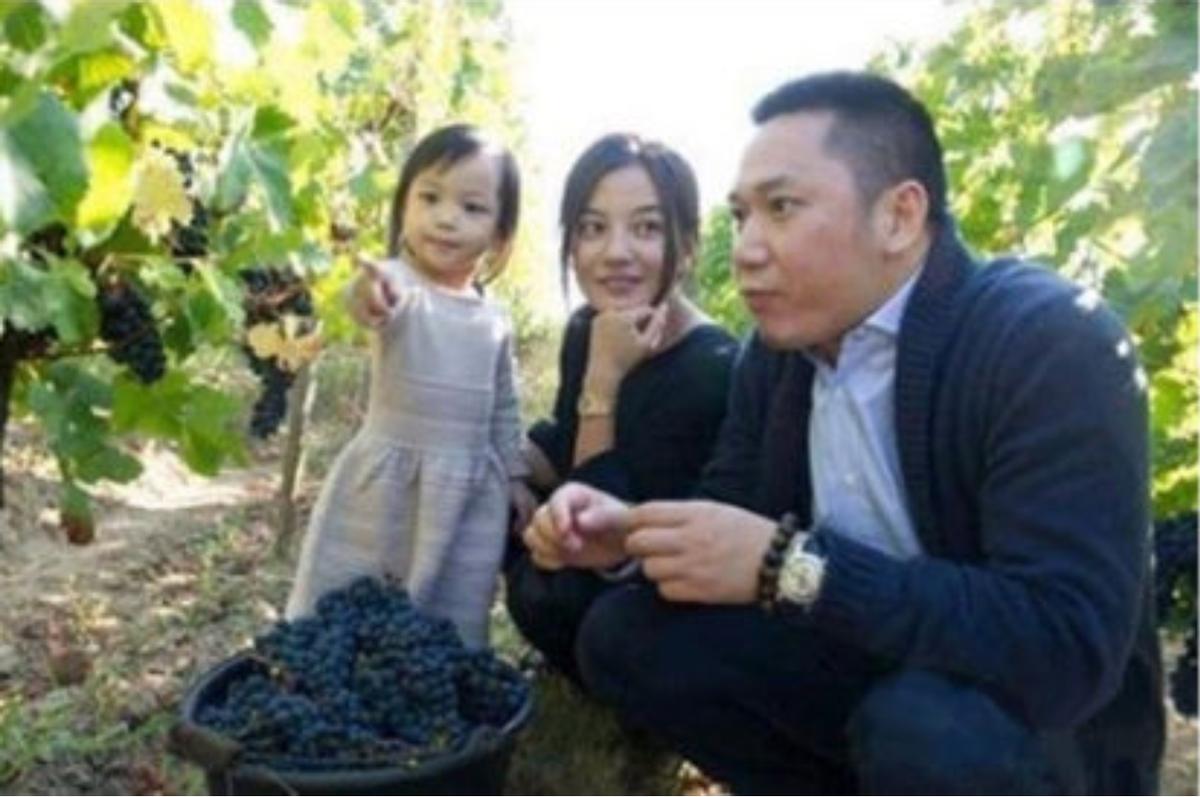 赵薇结婚后和王励勤有来往吗,赵薇王励勤私下关系