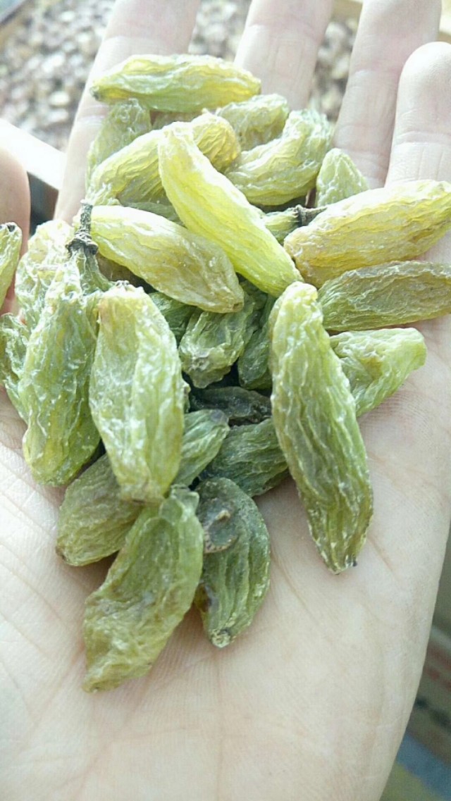 朋友们*疆新**的葡萄*你干**们知道有多少种吗？