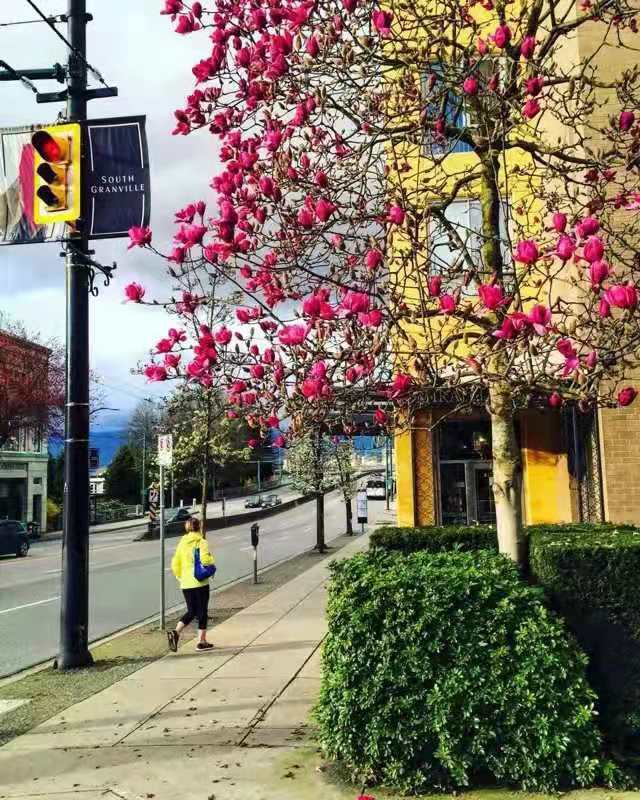 移民16年后的感受,移民16年感受