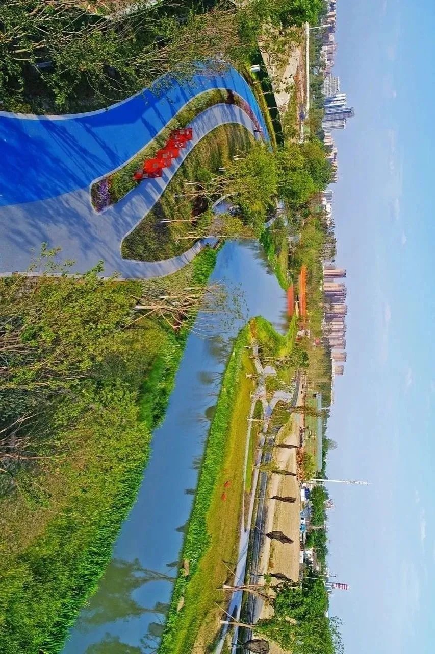 青白江不修地铁是真的吗,青白江不通地铁是地理原因吗