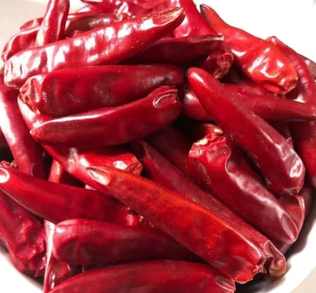 吉林洮南辣椒第一人,中国辣椒第一镇