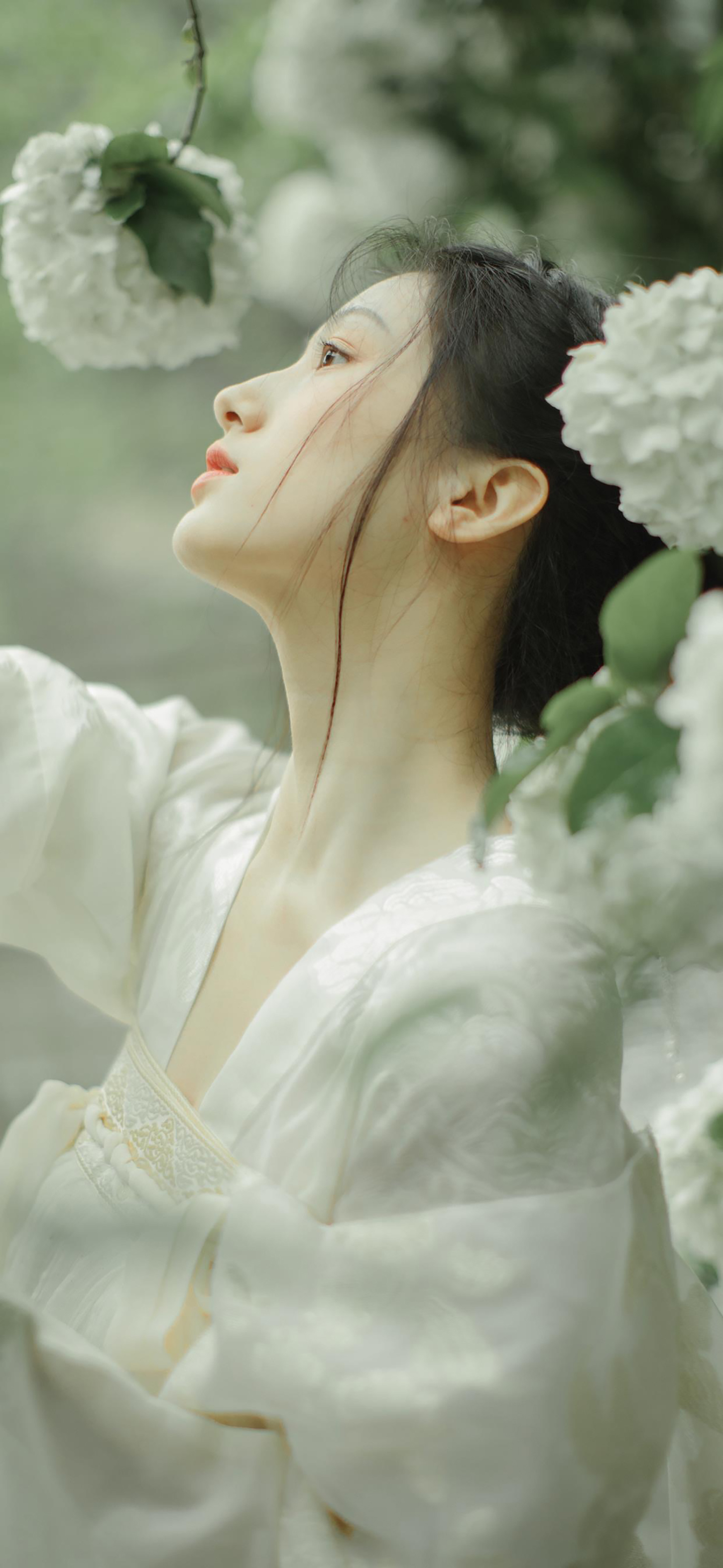 冰蓝色自带仙气杀气的古风壁纸,好看的壁纸女生仙气可爱卡通古风