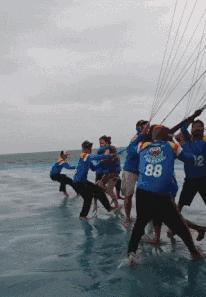 搞笑动图gif女司机,搞笑动图gif微信表情包