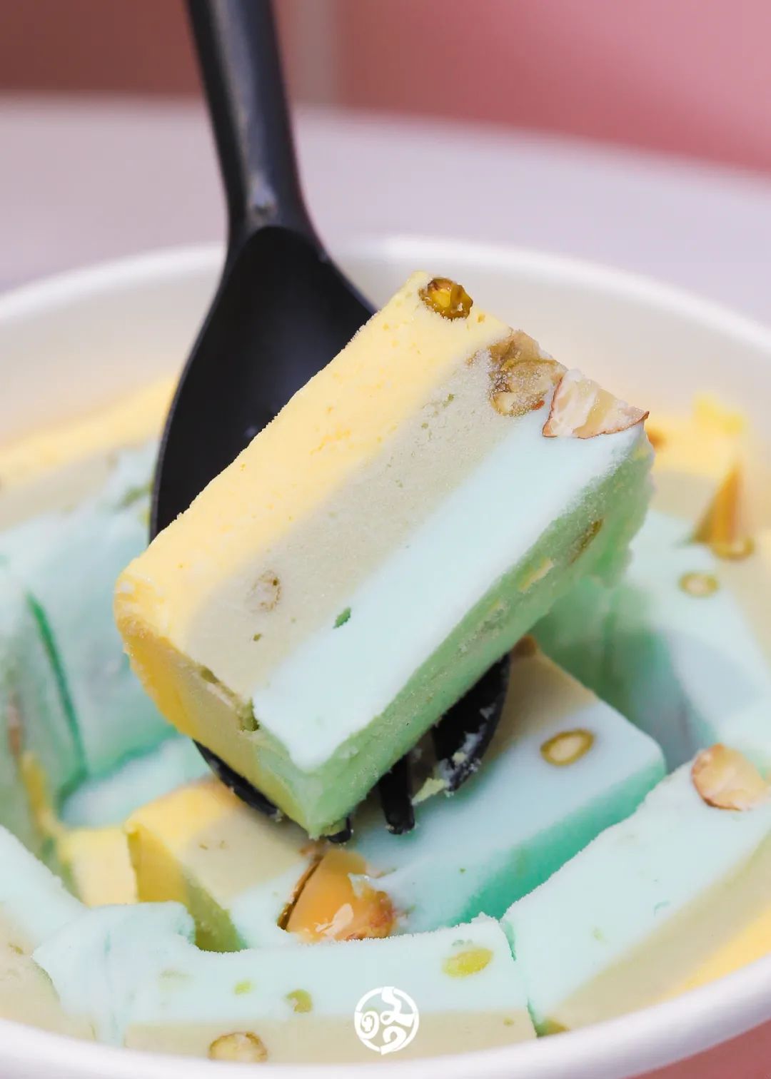 福利｜茉茉里五店同庆！宠贰拜送壹拜！全场柳折享