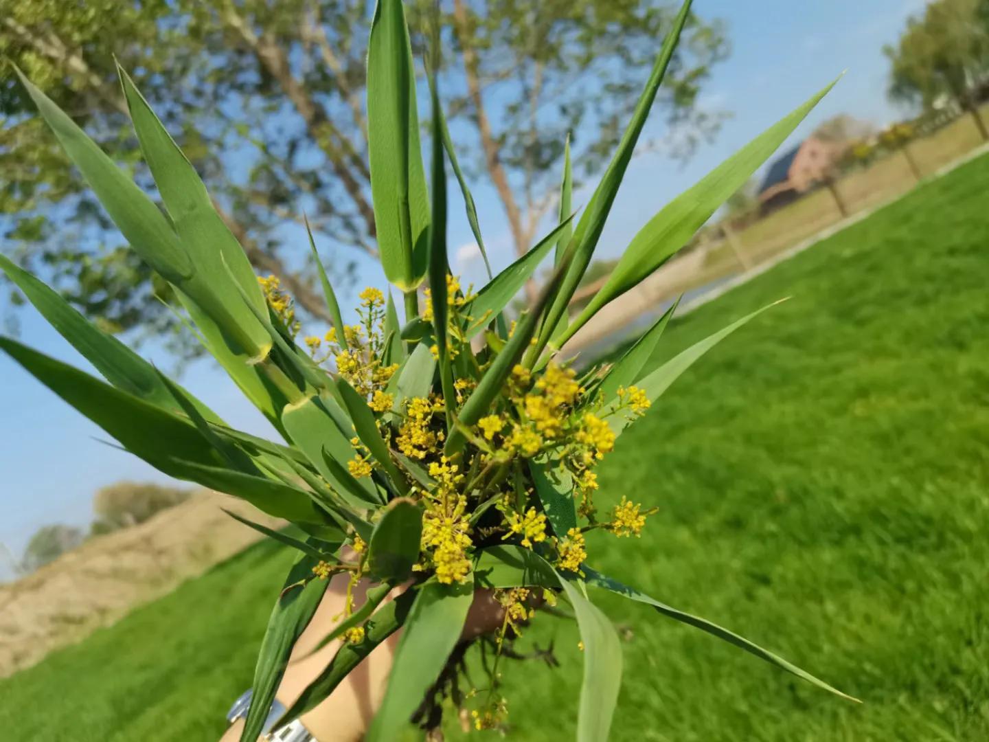 蹇靛垵鏃跺厜鍐滃満鐢佃瘽,蹇靛垵鏃跺厜浜插瓙鍐滃満