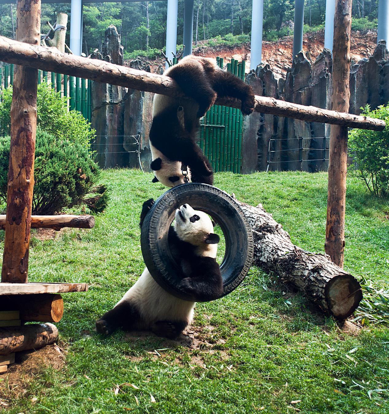 大连春节亲子游推荐,大连亲子游民宿推荐