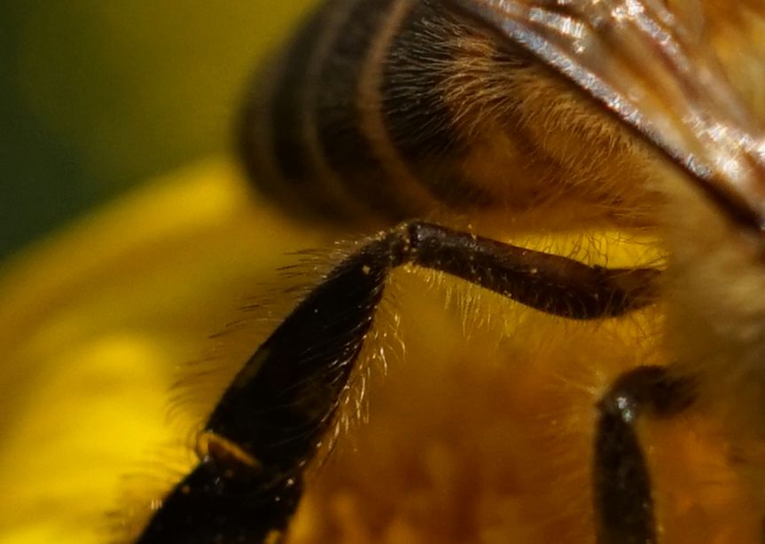 腾龙35-150mmf22.8二代z卡口,小身子大能量