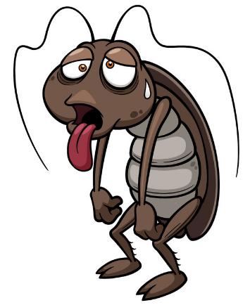 杀蟑螂的拜耳怎么打开,拜耳是怎么杀蟑螂的