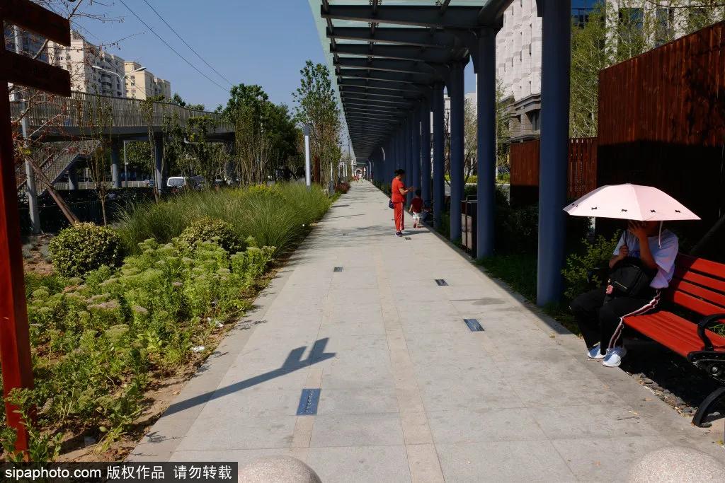 绿皮火车公园打卡景点,各种各样的免费公园