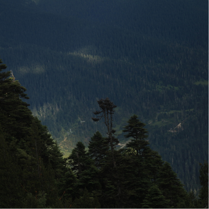 自驾31810天行程,318自驾游第一视角合集