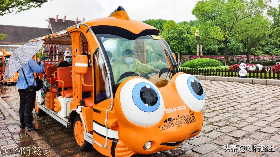 上海野生动物园可以自驾进去吗,从上海野生动物园怎样去上海南站