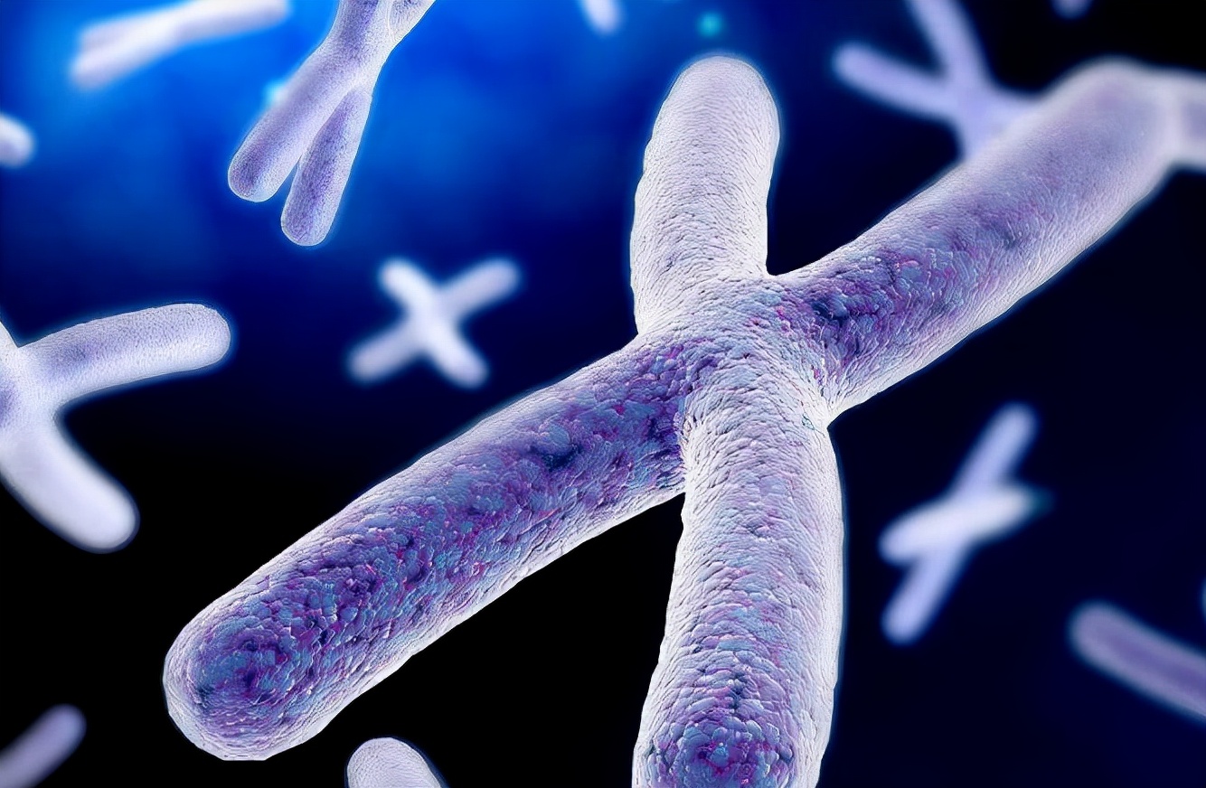 10岁急性白血病治愈率及存活年限,10年后白血病复发的几率
