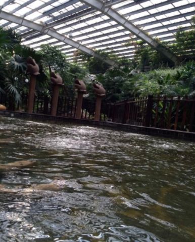 天津降温最快的地方,天津最近降温天气如何