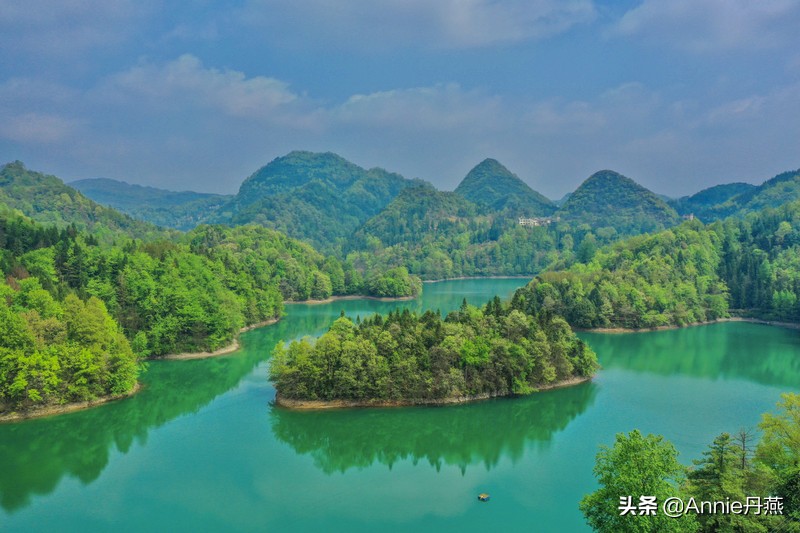 百里杜鹃花开如海,百里杜鹃百里盛开