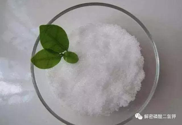 叶面肥磷酸二氢钾如何使用 (叶面肥磷酸二氢钾使用方法用量)